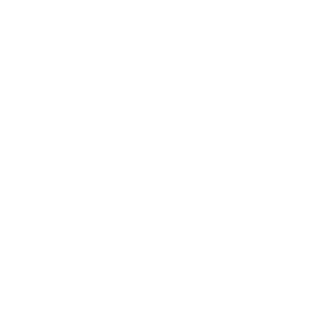 Disadvantaged Business Certified Enterprise