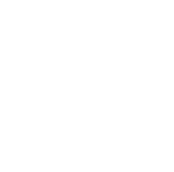 Small Business SBE Certified Enterprise